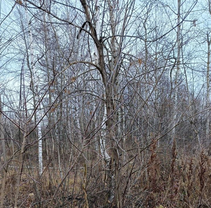 офис г Павловский Посад пер Ленинградский фото 1