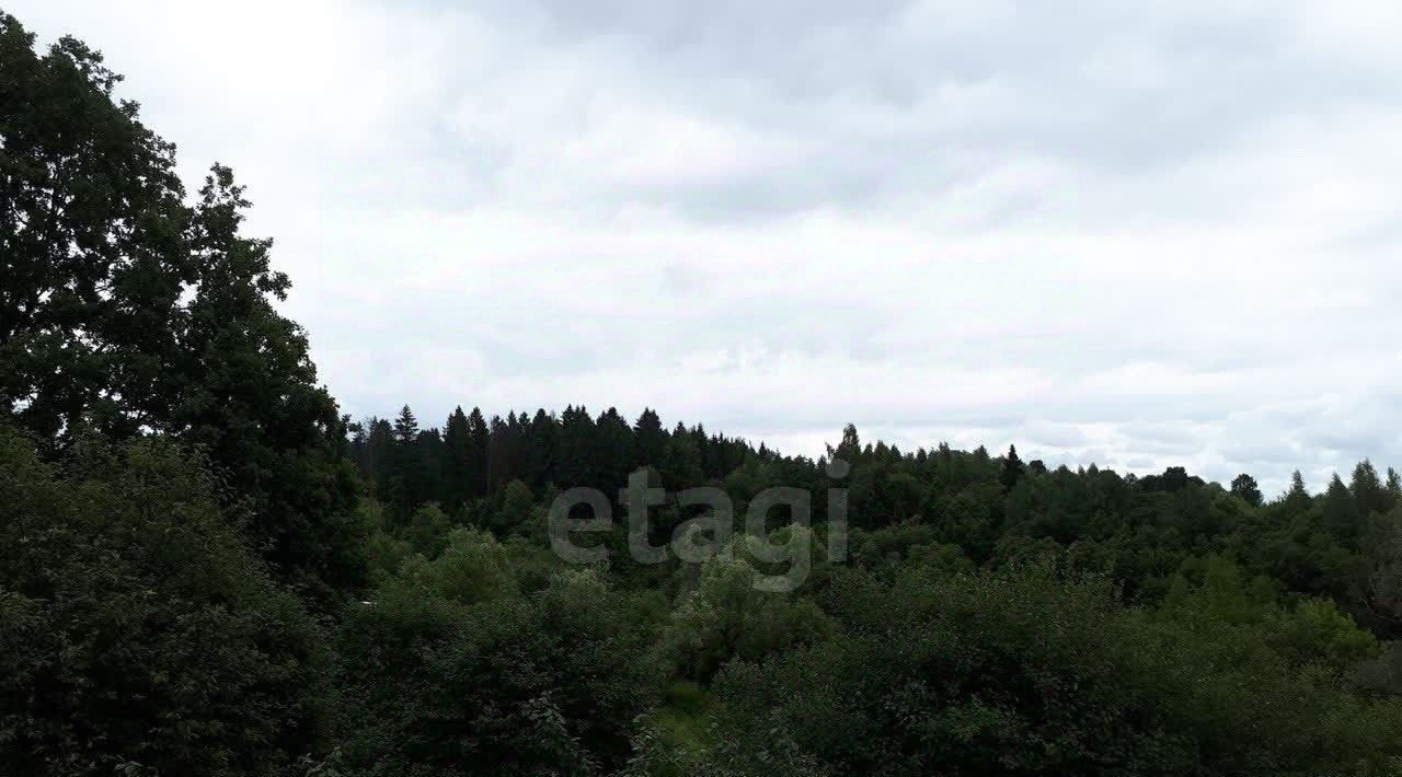 земля направление Ленинградское (северо-запад) ш Пятницкое 34, Химки городской округ, д. Рузино фото 11