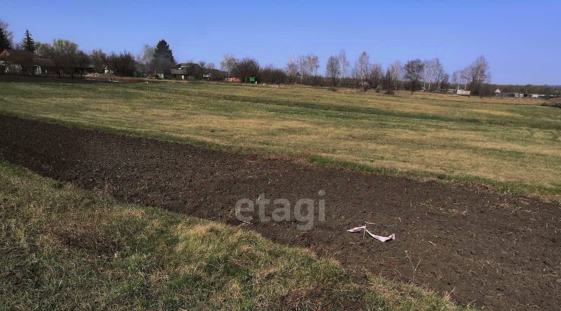 земля р-н Старооскольский с Федосеевка Старооскольский городской округ фото 1