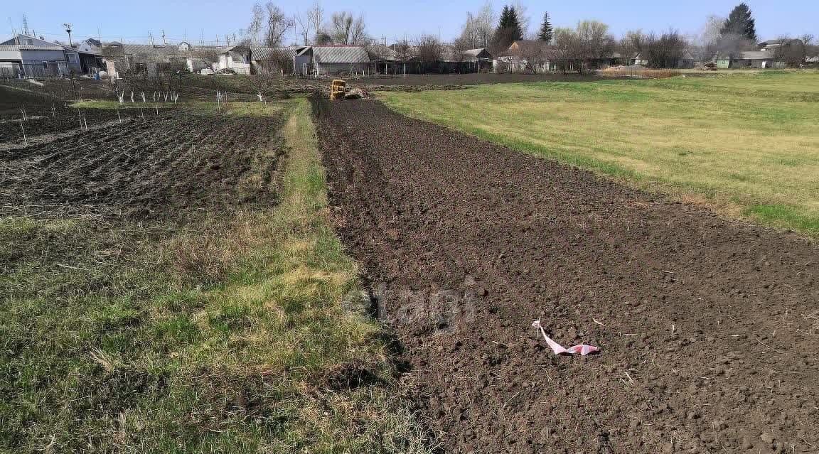 земля р-н Старооскольский с Федосеевка Старооскольский городской округ фото 2