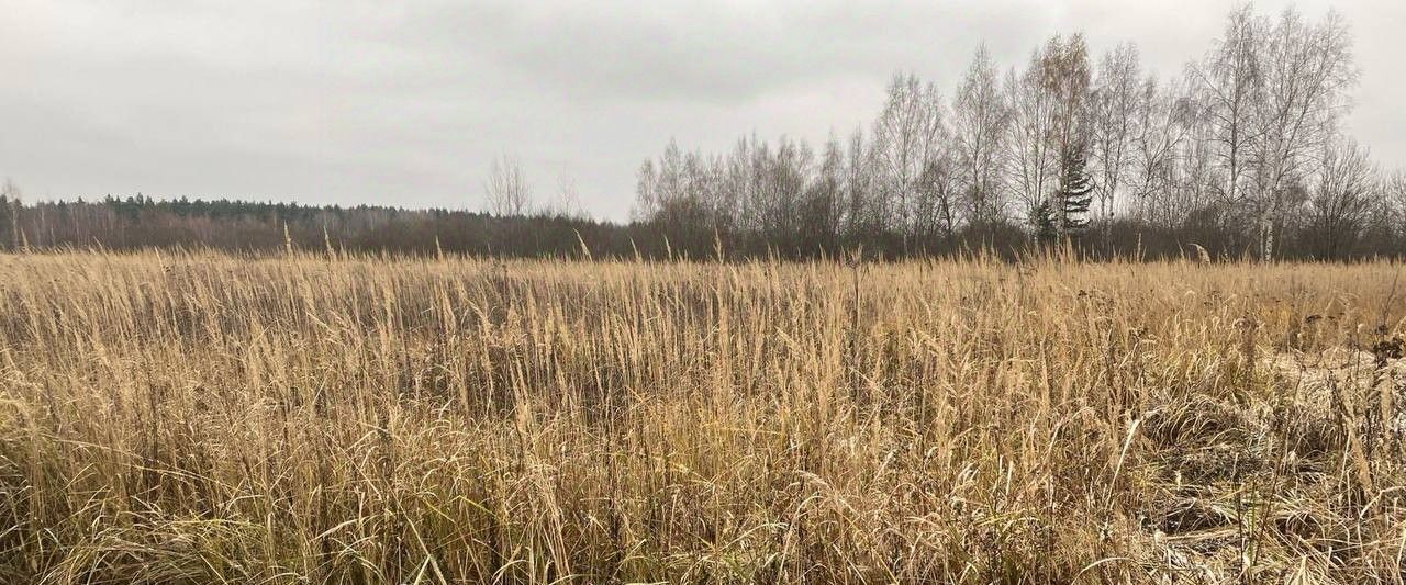 офис городской округ Воскресенск д Бочевино ул Широкая фото 1