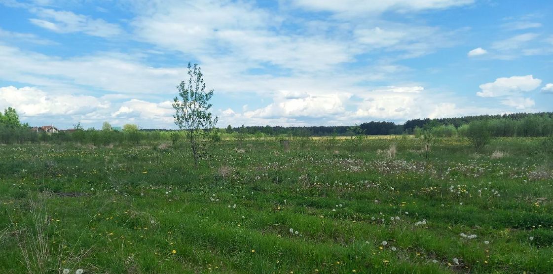 офис городской округ Дмитровский д Усть-Пристань фото 1