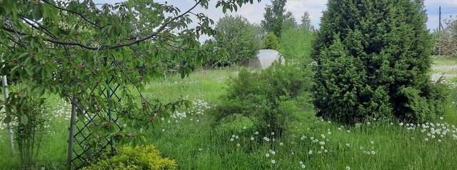 р-н Мичуринский с Стаево ул Дариловка фото