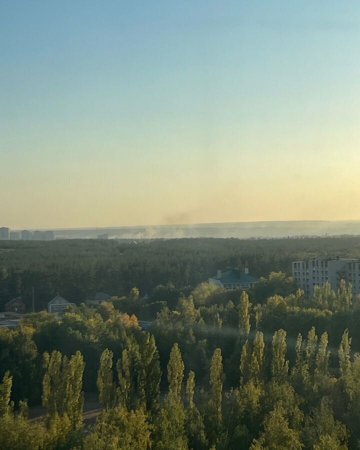 квартира г Воронеж р-н Коминтерновский пр-кт Московский 197 ЖК «Грин Парк» фото 18