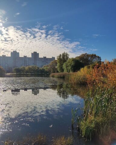 метро Проспект Просвещения пр-кт Энгельса 151к/1 фото