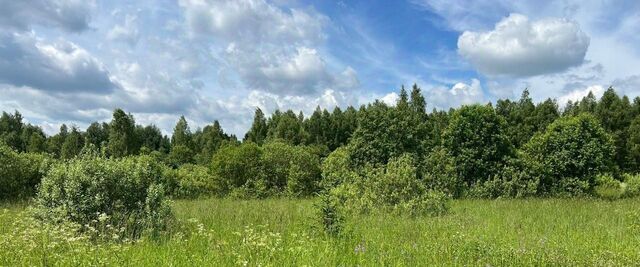 Истра муниципальный округ, д. Курово фото