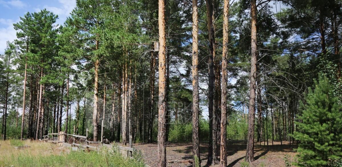 дом р-н Тюменский п Андреевский фото 5