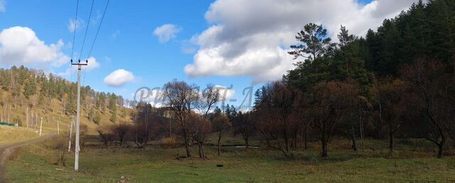 р-н Чемальский Горно-Алтайск фото