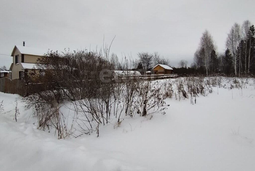 земля р-н Тюменский снт Нива ул Центральная фото 1