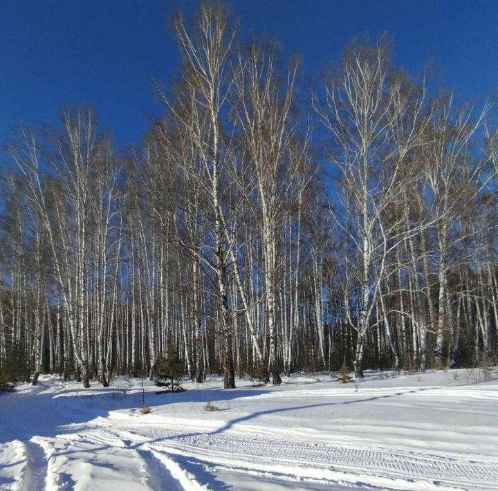 земля г Асбест п Изумруд ул Куйбышева 3 Малышевский городской округ фото 4