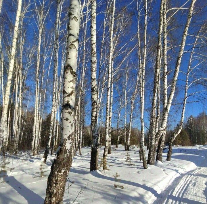 земля г Асбест п Изумруд ул Куйбышева 3 Малышевский городской округ фото 8