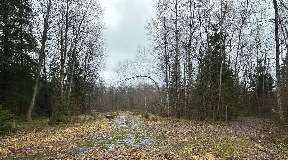 офис городской округ Истра д Садки Нахабино, 2 фото 27