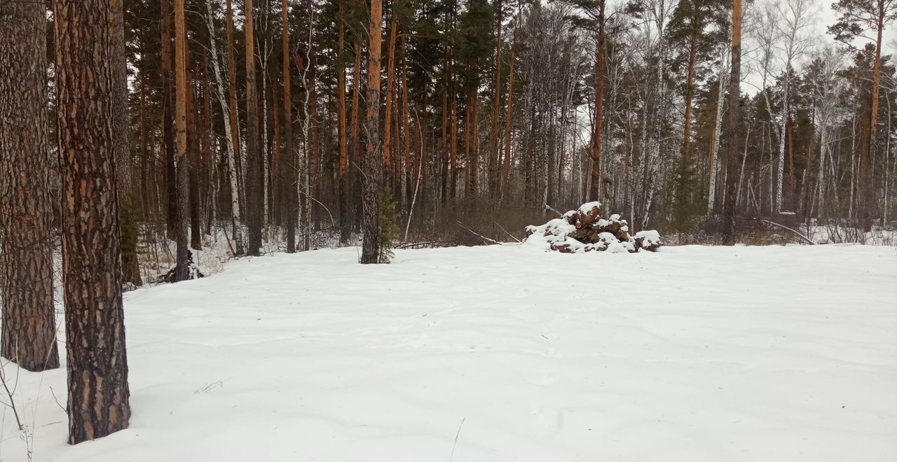 земля г Екатеринбург р-н Чкаловский дп. Кургановский фото 17