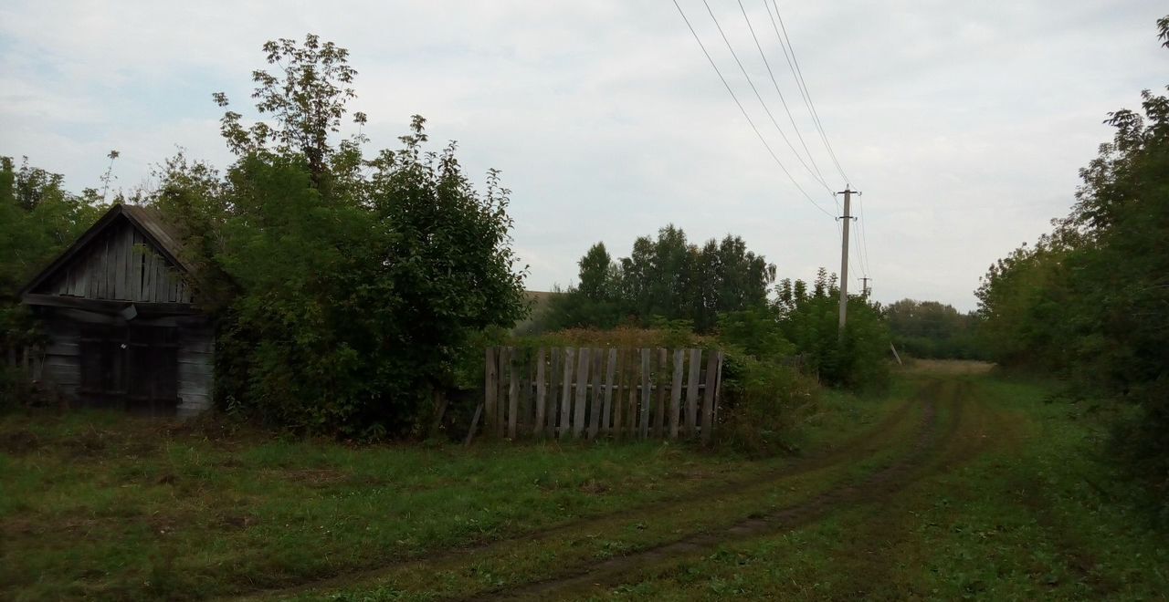 дом р-н Тетюшский д Ямбухтино ул Слободская 17 Республика Татарстан Татарстан, Льяшевское сельское поселение, Тетюши фото 8