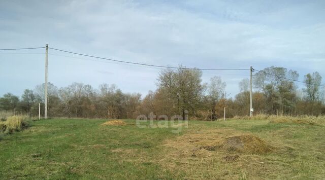 ст-ца Саратовская ул Жасминовая фото