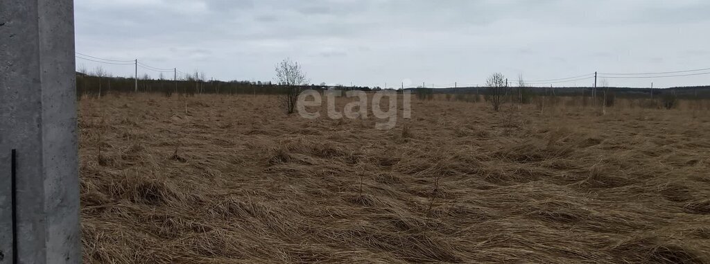 земля городской округ Коломенский с Никульское ул Советская фото 3