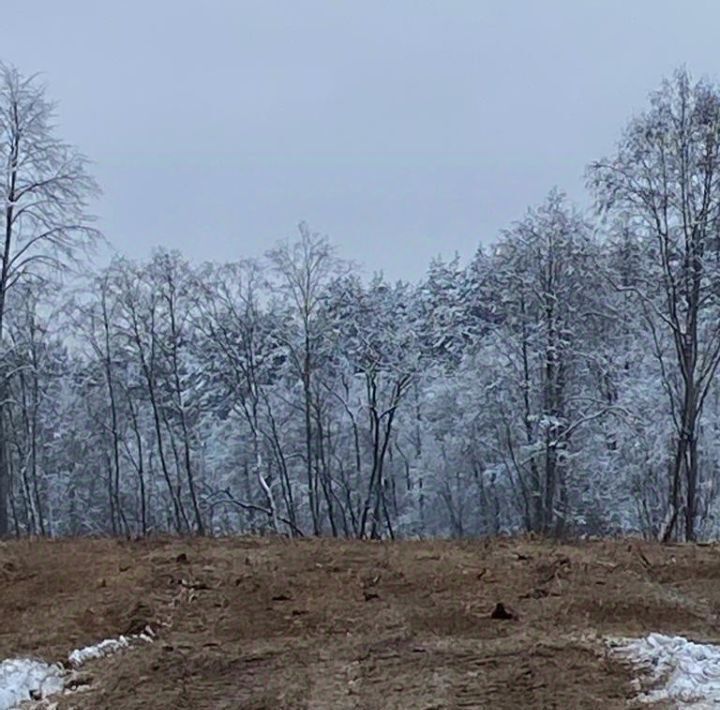 земля р-н Калининский д Крупшево фото 16