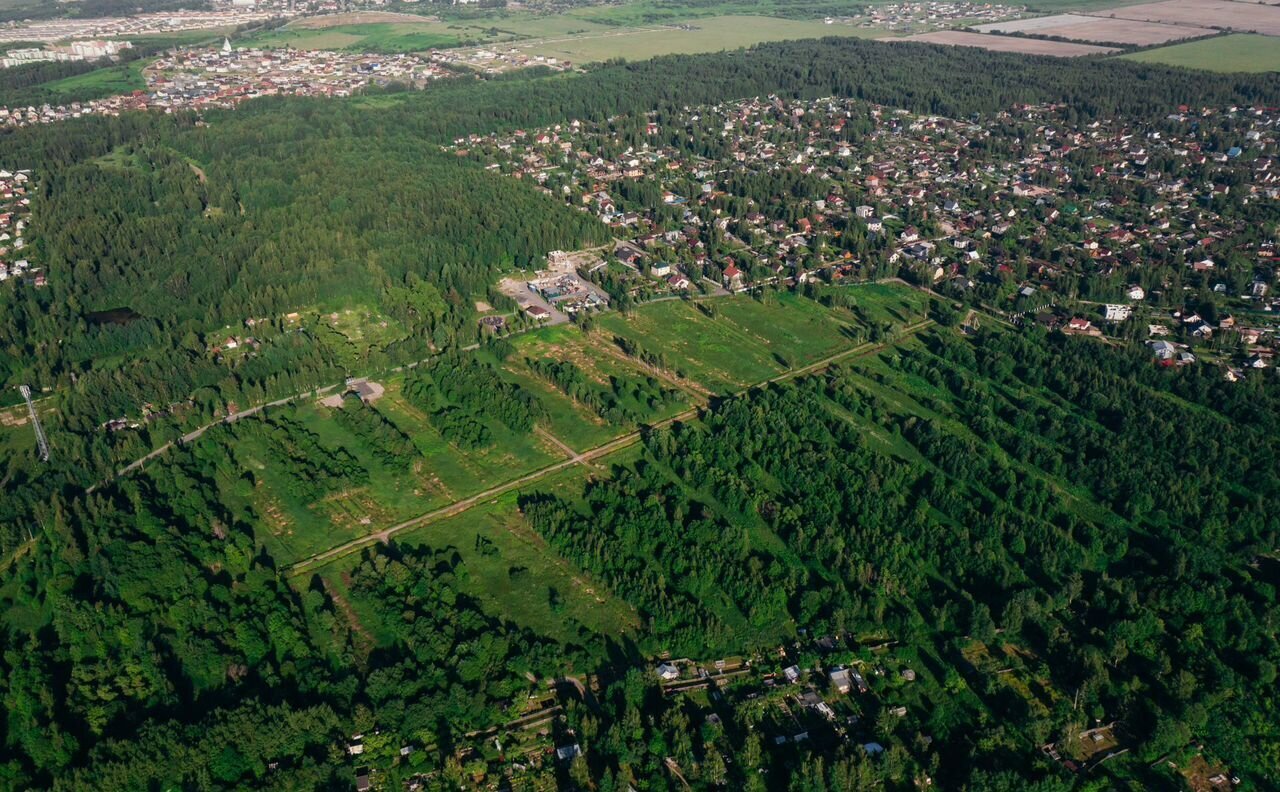 земля г Павловск р-н Пушкинский ул Берёзовая Московское шоссе, 15 км фото 3