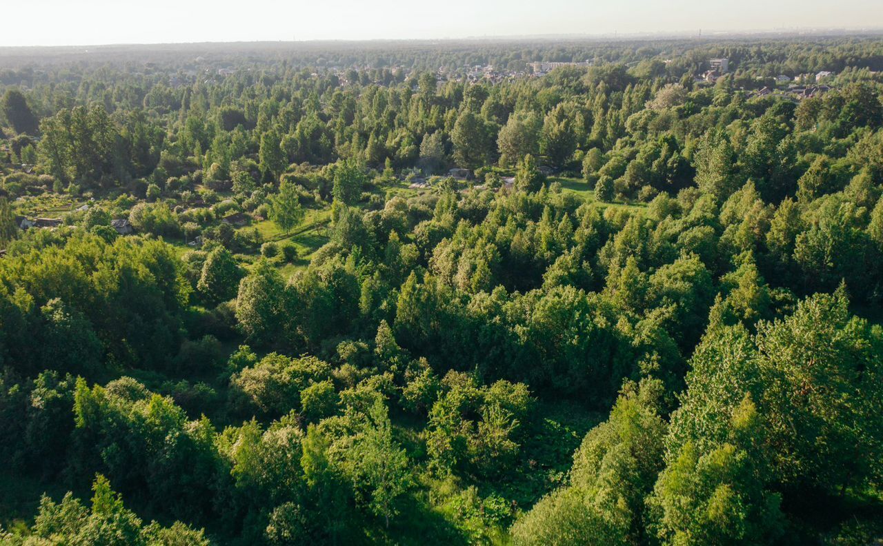 земля г Павловск р-н Пушкинский ул Берёзовая Московское шоссе, 15 км фото 11