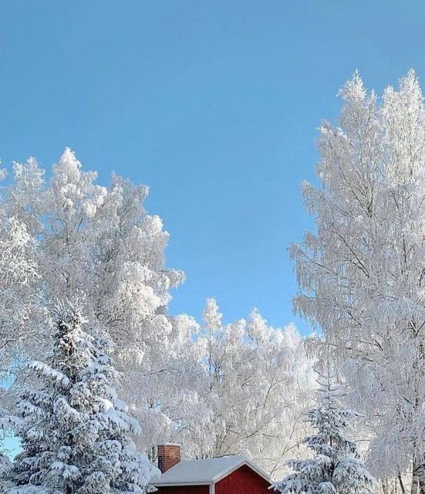 земля городской округ Истра д Ульево фото 1