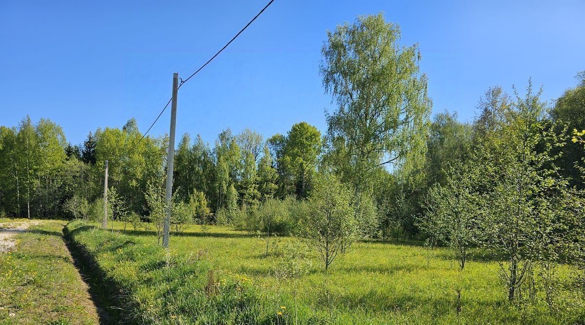 земля городской округ Шаховская д Кобылино тер Новорижская Деревенька-3 фото 2