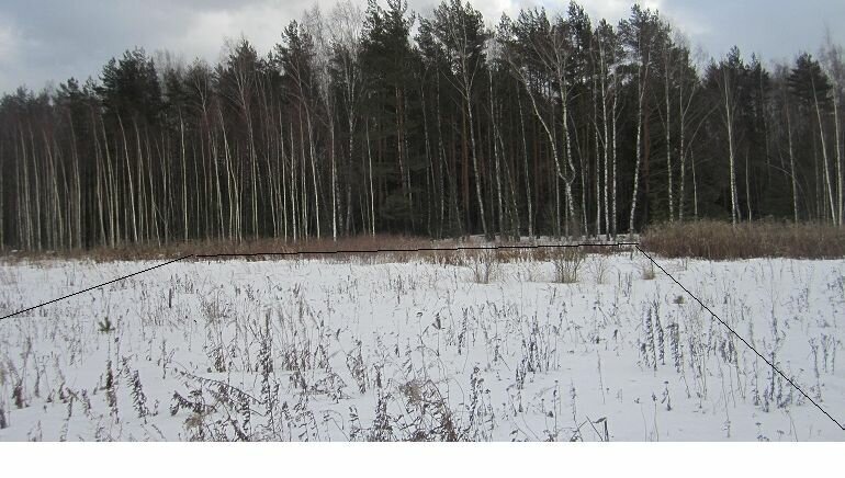 земля городской округ Дмитровский д Матвейково фото 1