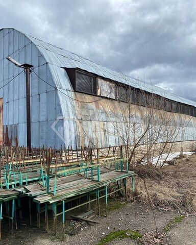 г Зеленодольск ул Кооперативная 1к/1 муниципальное образование Зеленодольск фото