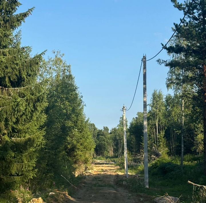 земля р-н Всеволожский массив Малое Кайдалово днп Стеклянный ручей Куйвозовское с/пос фото 3