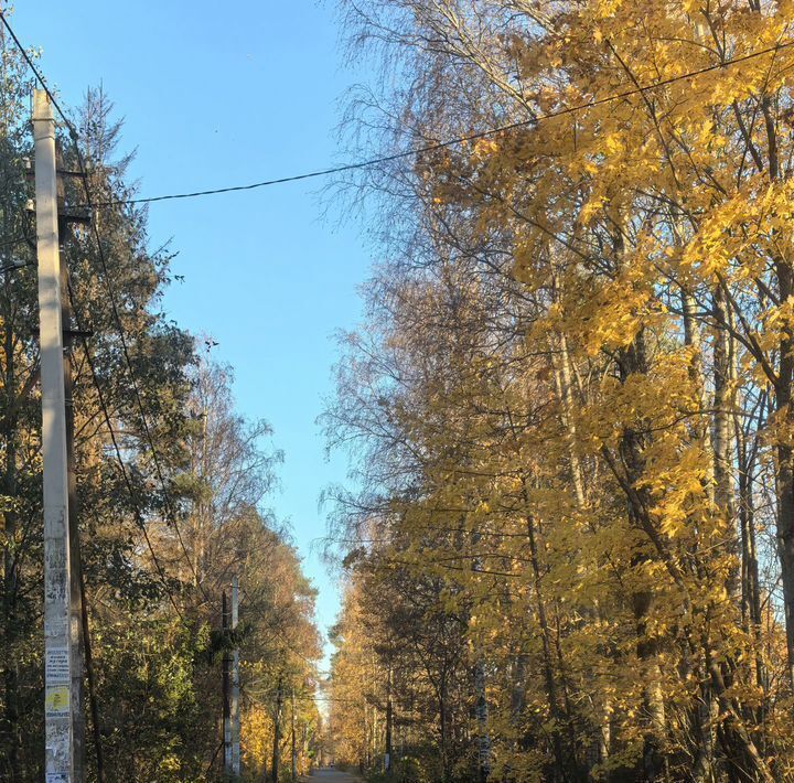 земля р-н Всеволожский массив Дунай снт Светлана-1 Сертоловское городское поселение, 70 фото 3