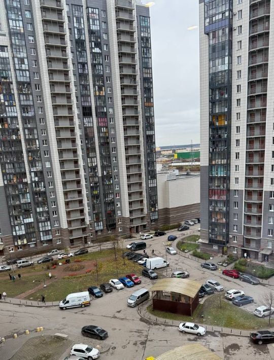 квартира г Санкт-Петербург метро Ломоносовская ул Русановская 17к/3 округ Народный фото 24