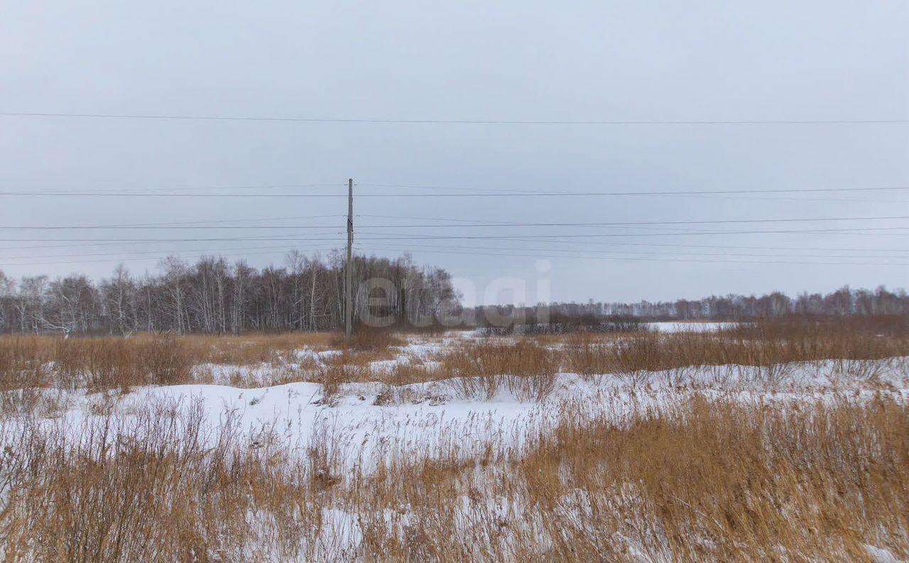 земля р-н Нижнетавдинский п Торгили Каскара фото 12