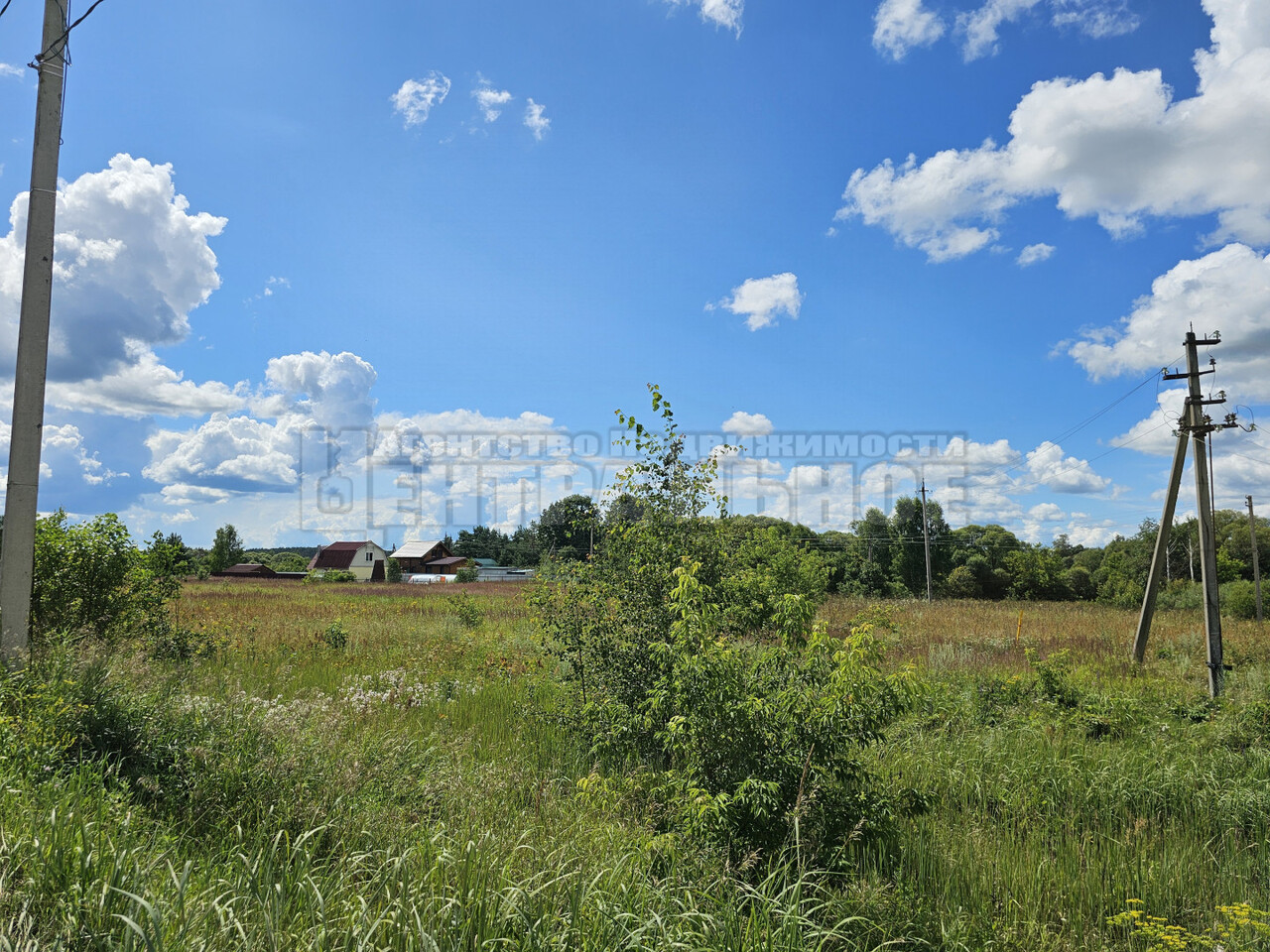 земля р-н Смоленский д Ракитня-2 фото 5