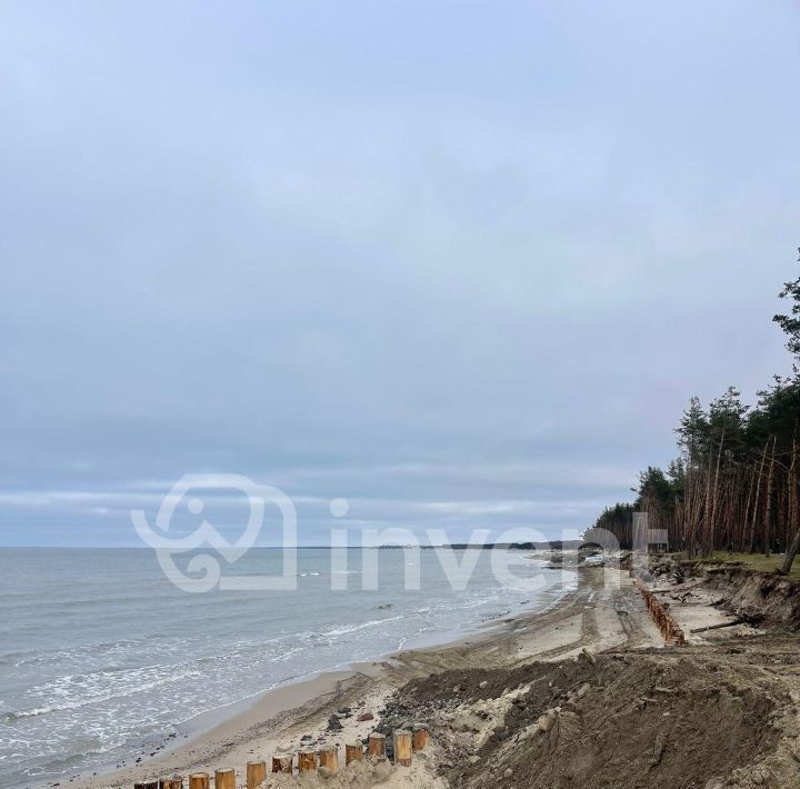 земля р-н Зеленоградский п Куликово снт Светлогорское ул Лесная Зеленоградский муниципальный округ фото 1