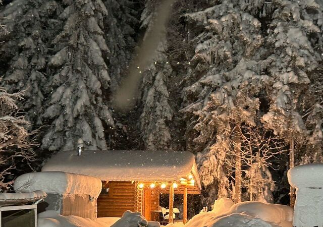 снт Кукко Деревянское сельское поселение, 95, Петрозаводск фото