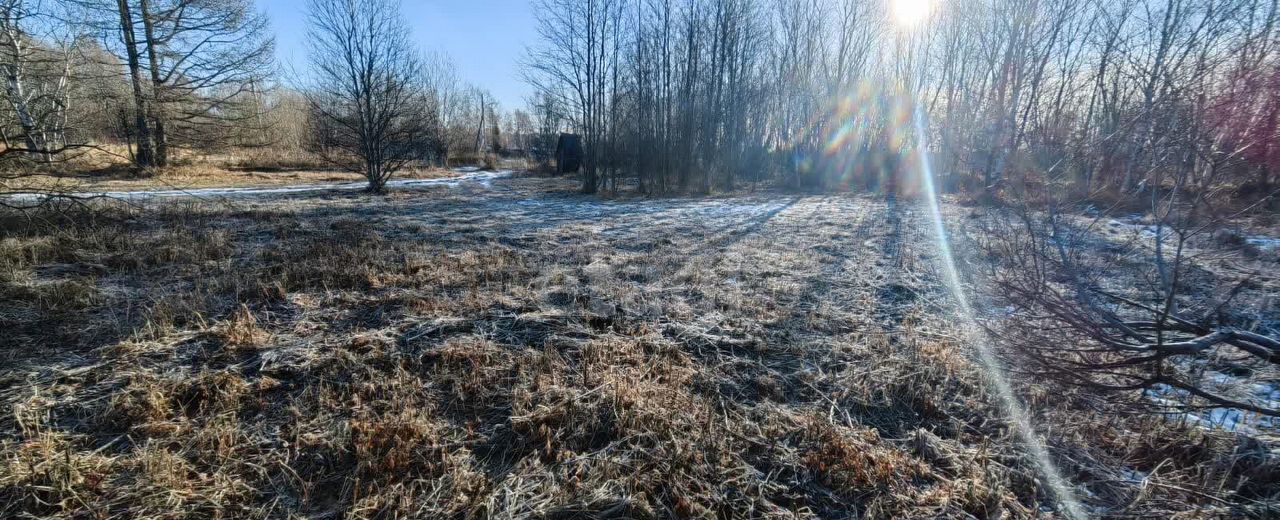 земля р-н Елизовский г Елизово садовое некоммерческое товарищество Лесник фото 1