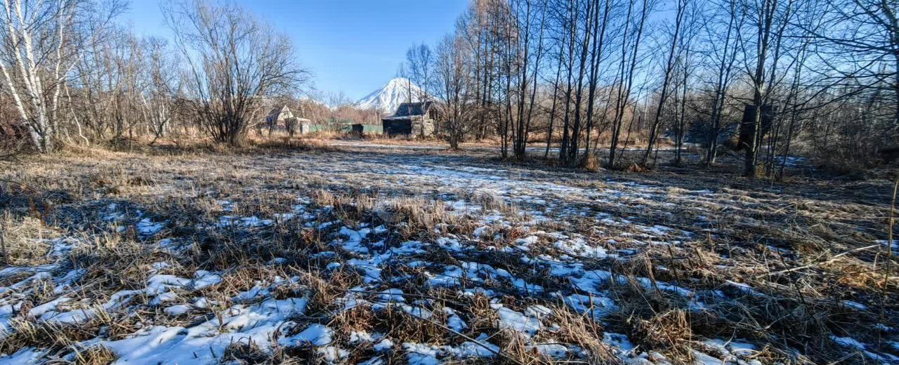 земля р-н Елизовский г Елизово садовое некоммерческое товарищество Лесник фото 2