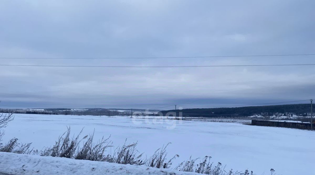 земля р-н Дальнеконстантиновский с Лубянцы фото 1