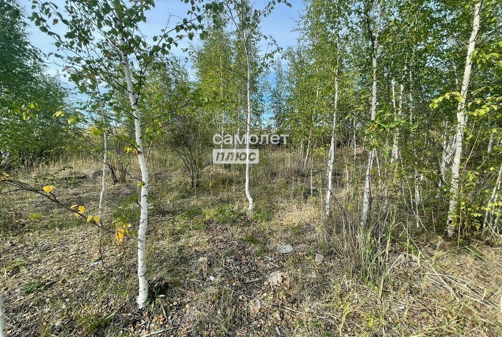 земля п Жатай садово-огородническое товарищество Луговой, 31 фото 3