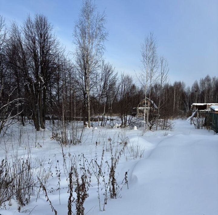 земля р-н Нижнетавдинский снт Здоровье-2 фото 2