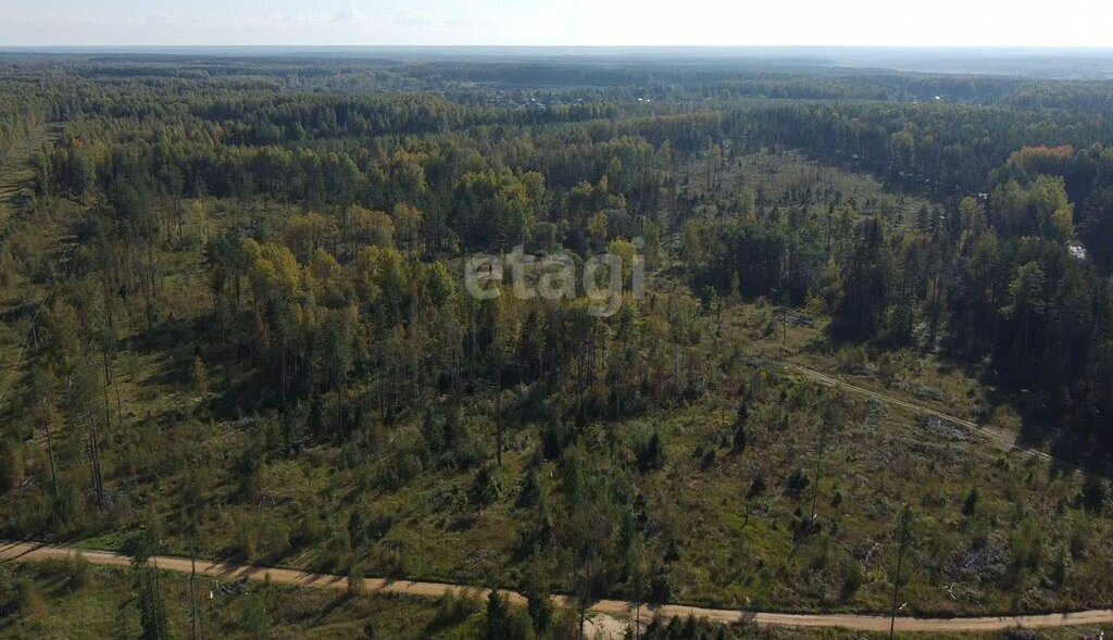 земля р-н Некрасовский д Смирново сельское поселение Некрасовское фото 1