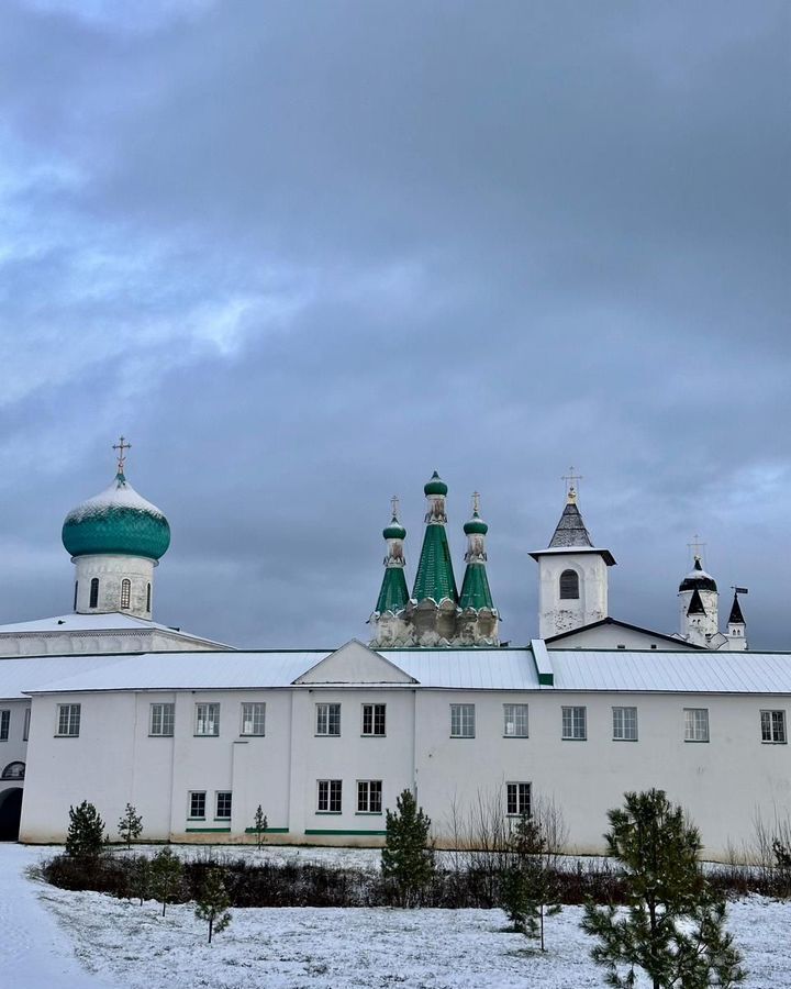 земля р-н Лодейнопольский г Лодейное Поле Мурманское шоссе, Янегское сельское поселение, Слобода, д. Новая фото 14