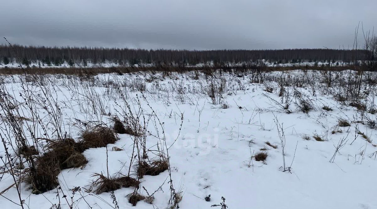 земля р-н Дальнеконстантиновский с Лубянцы фото 6