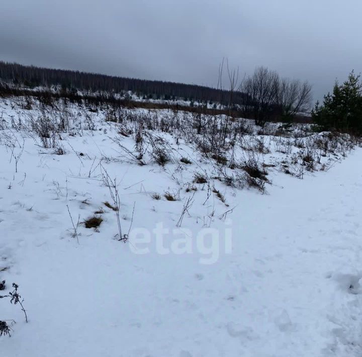 земля р-н Дальнеконстантиновский с Лубянцы фото 10