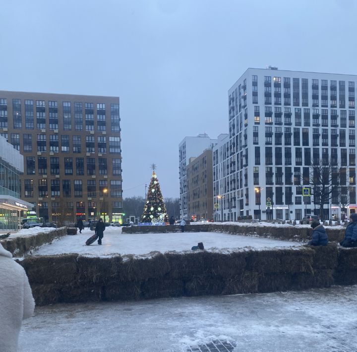 квартира г Москва п Сосенское п Коммунарка ул Александры Монаховой 43к/1 метро Новохохловская фото 13