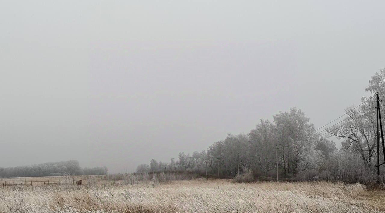 офис городской округ Кашира д Тарасково ул Комсомольская фото 2