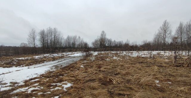 Таллинское шоссе, 120 км, Старопольское сельское поселение, Сланцы фото