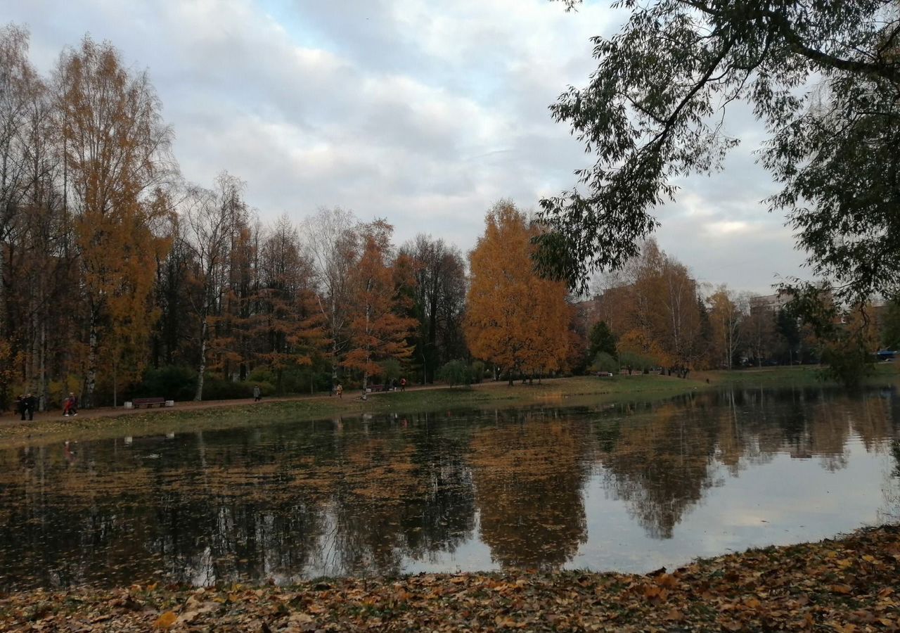 квартира г Санкт-Петербург метро Удельная пр-кт Светлановский 8 фото 19