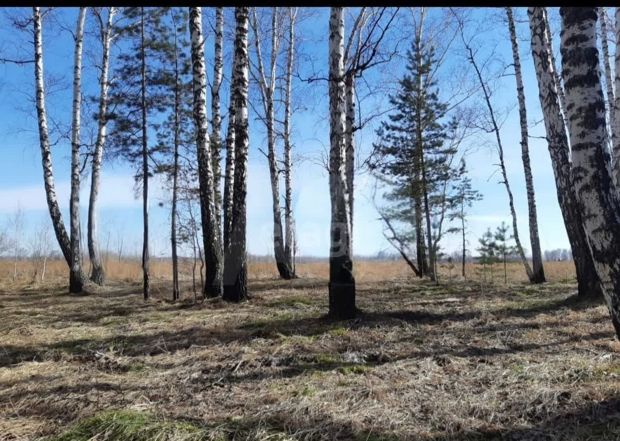 земля р-н Новосибирский тер. ДНТ Царская Усадьба Кубовинский сельсовет, Новосибирск фото 2