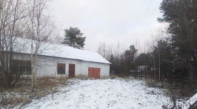 р-н Соликамский с Родники ул Молодежная 8а Соликамский городской округ фото