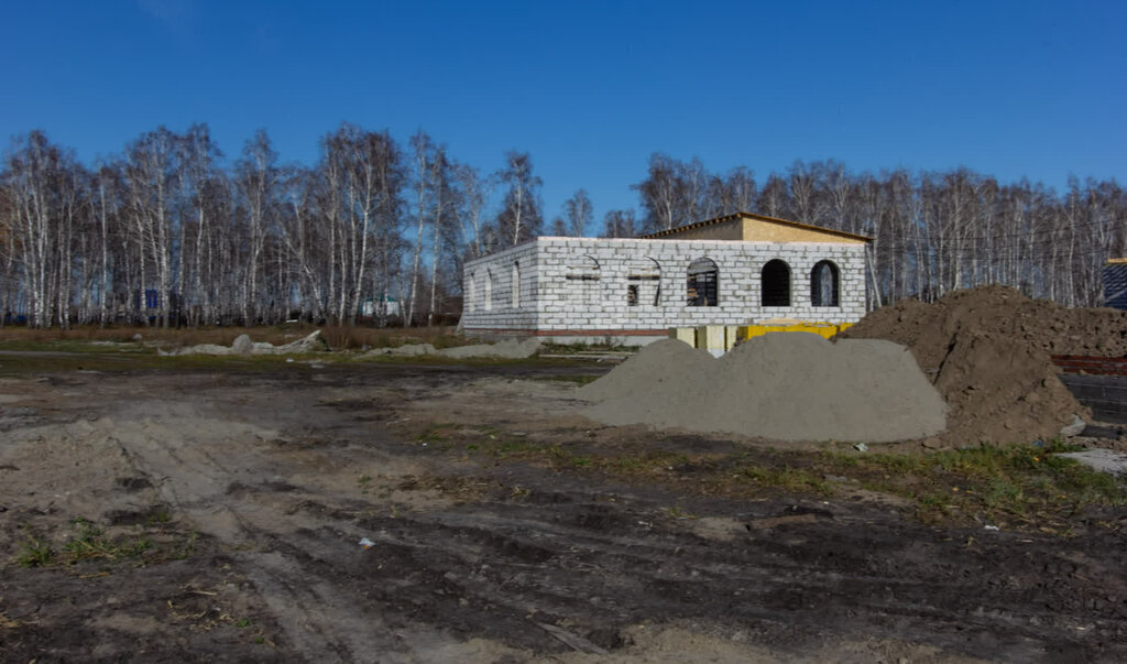 земля Криводановский сельсовет, Площадь Маркса, СНТ Рябинка фото 8